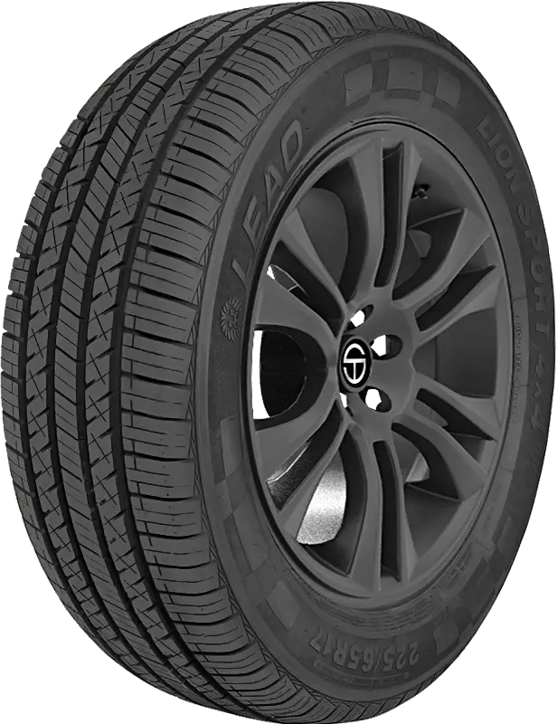 Lion Sport 4X4 HP3-221024573